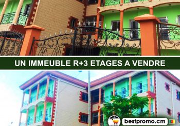 IMMEUBLE R+3 ETAGES A VENDRE